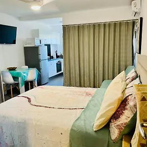 Tehautahi Cozy 1 Apartment Papeete (Tahiti)